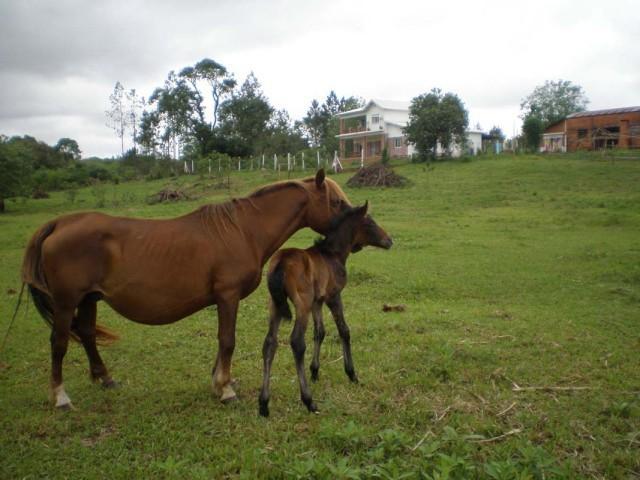 mi pequenin yo te cuido.JPG - Mi pequeño, yo te cuido